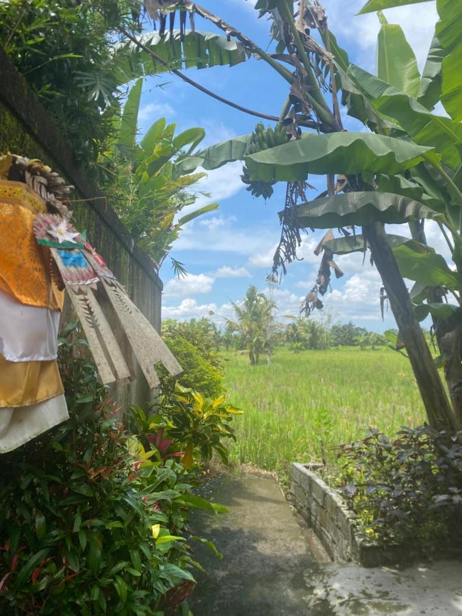 Villa Jepun Ubud Exterior foto